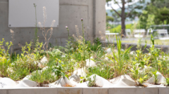 리빙 홀_소다미술관 설치009