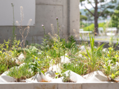 리빙 홀_소다미술관 설치009