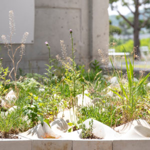 리빙 홀_소다미술관 설치009